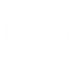 Struis Groningen